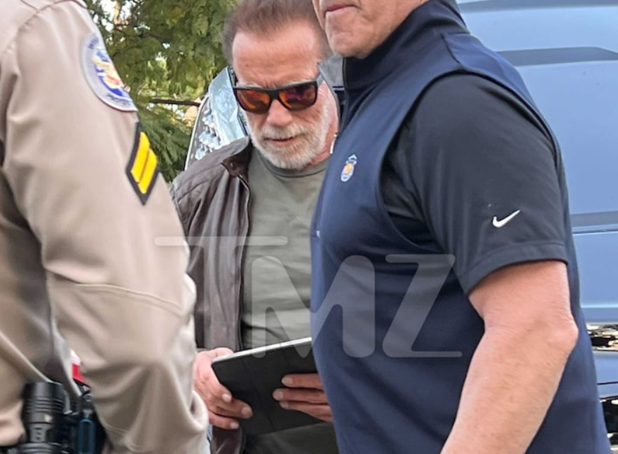 ДТП, Шварценеггер